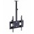 Suporte  de Teto Loctek  23''  a 55''  PSR770 